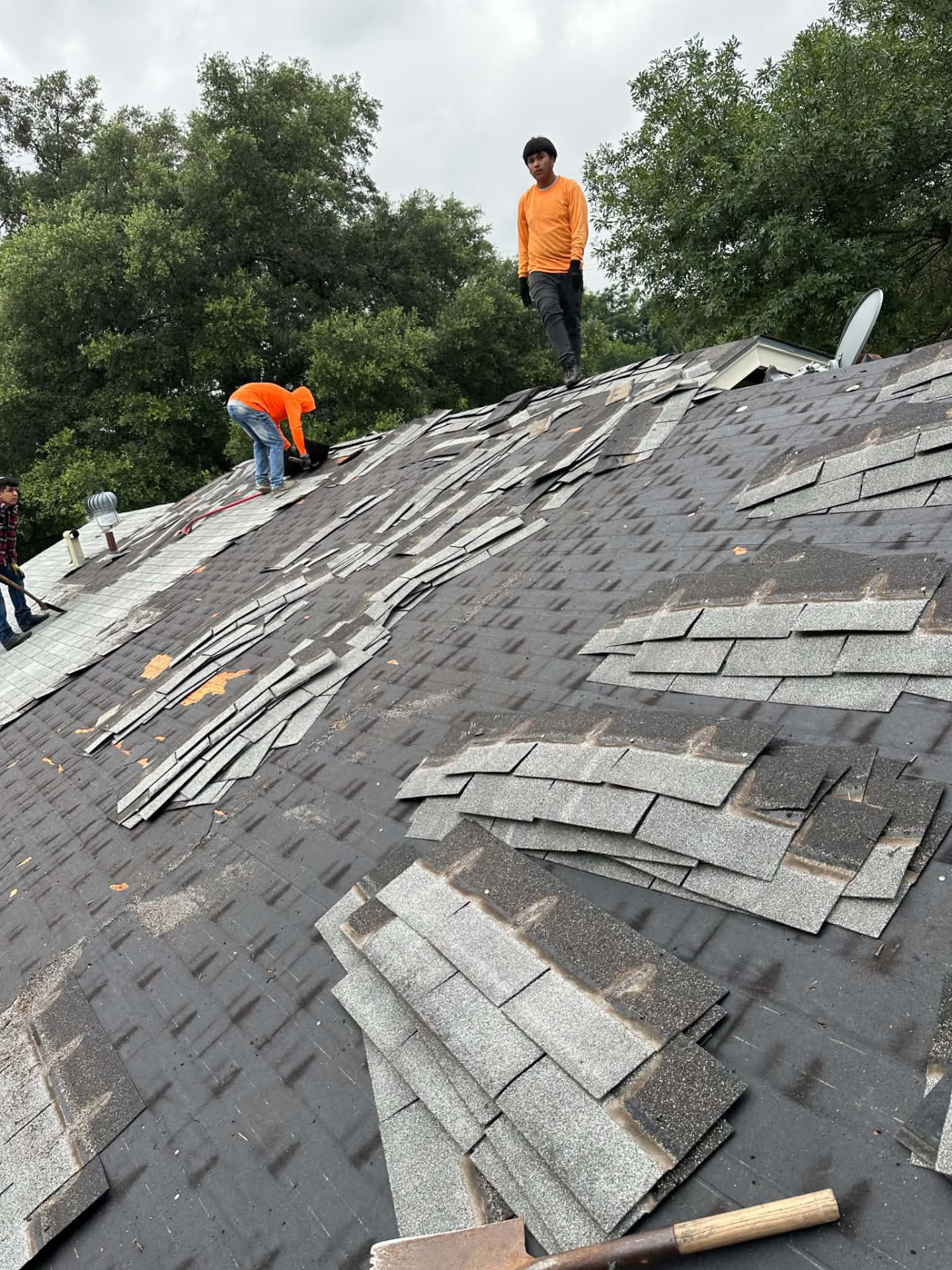 Shingles being removed with underlying roof surface exposed