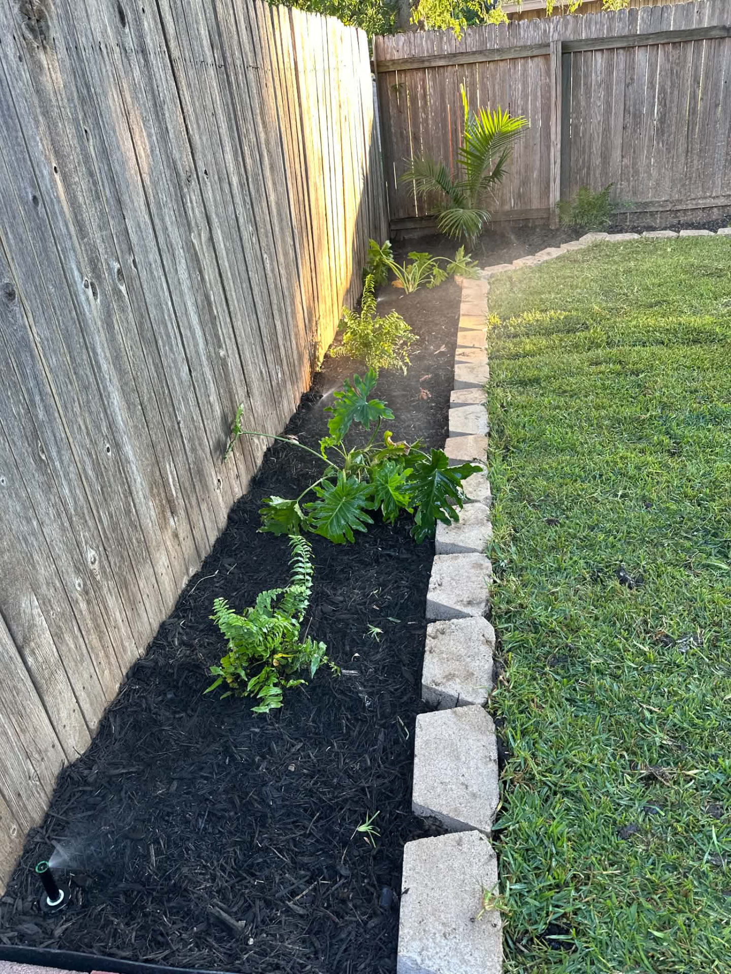 Garden bed with stone edging, mulch and plants being watered by a sprinkler
