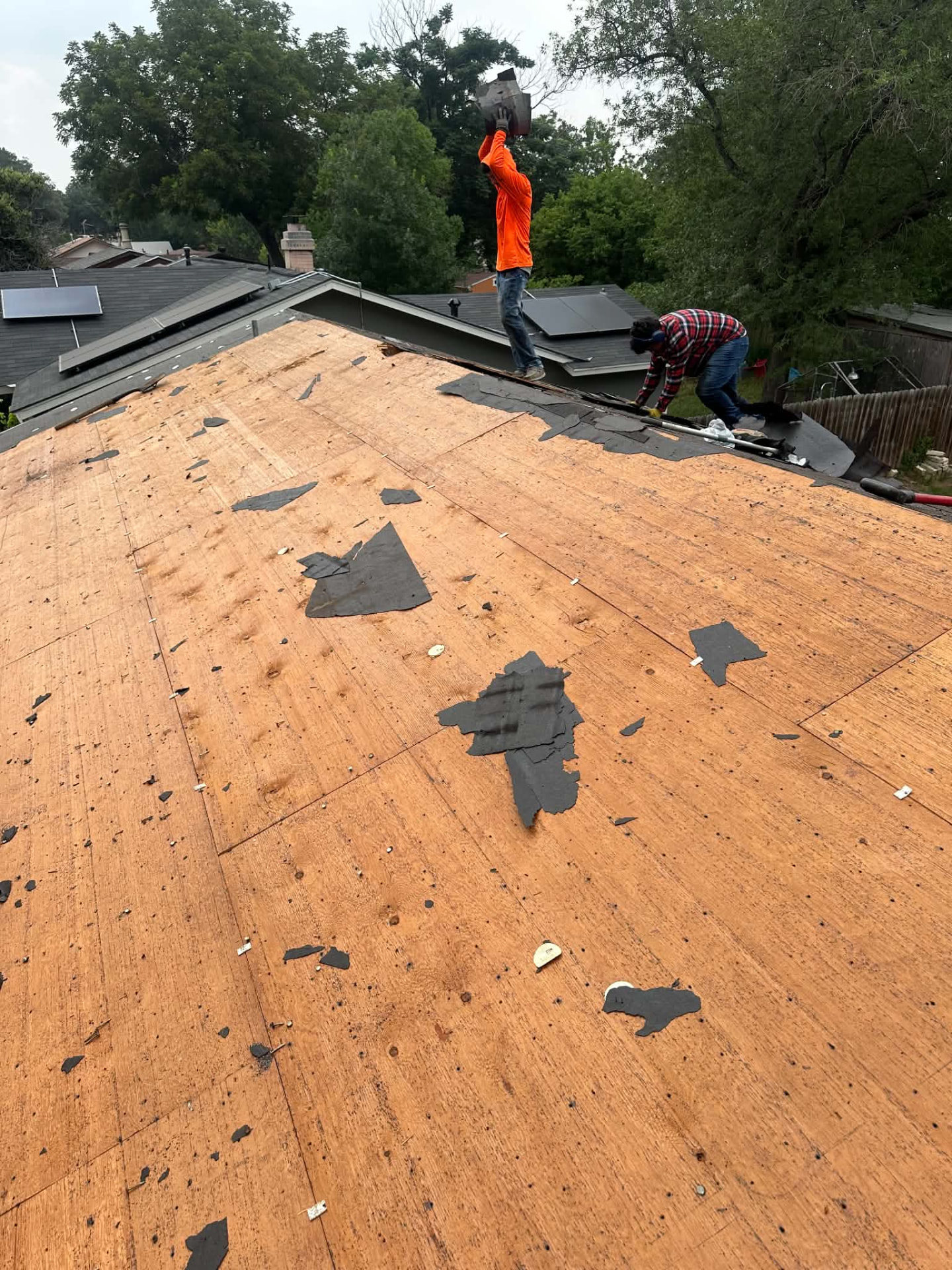 Exposed wood roof decking during shingle removal
