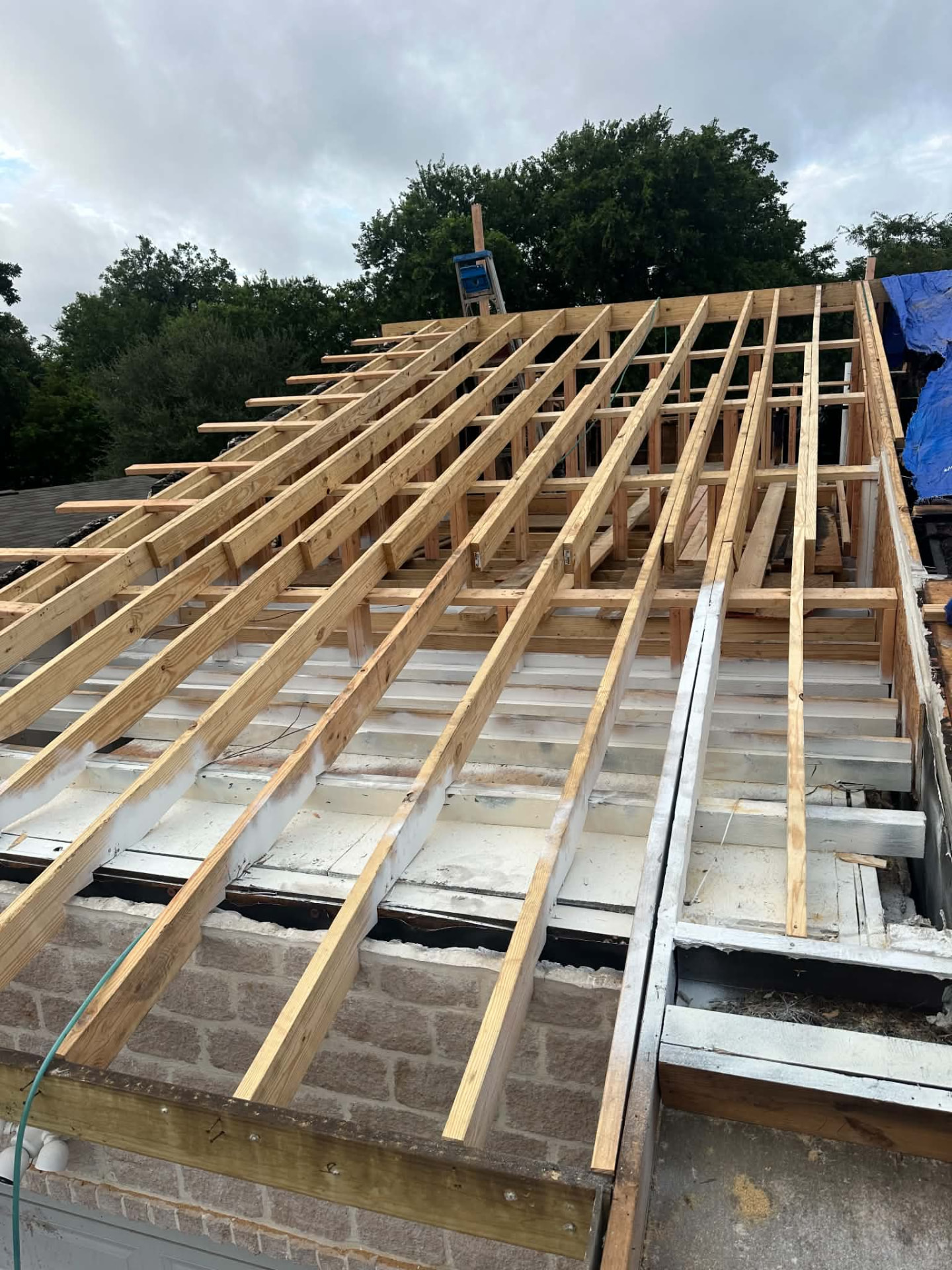 New timber roof framing in place during the replacement