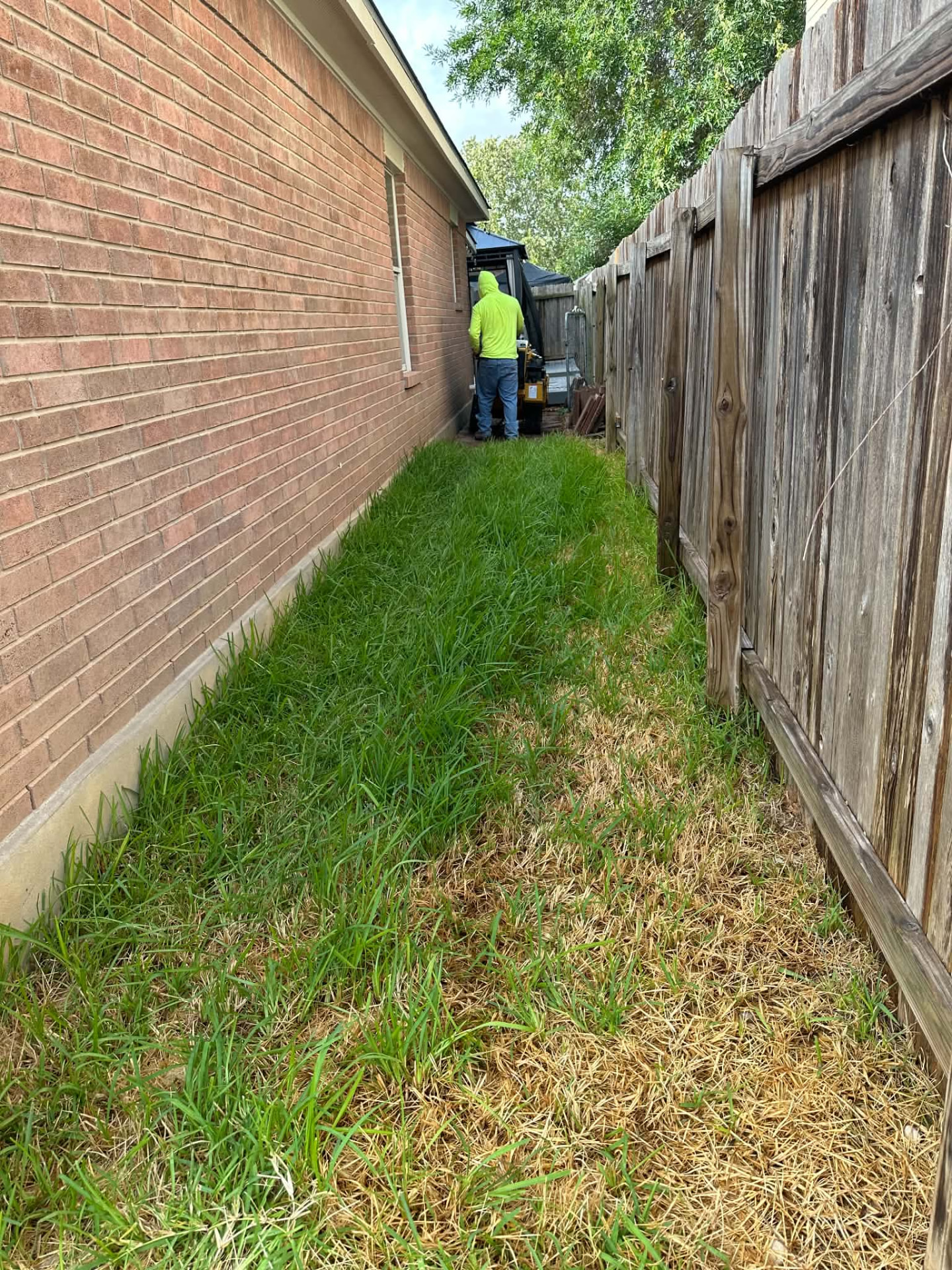 Overgrown side yard beside a brick home before landscaping work